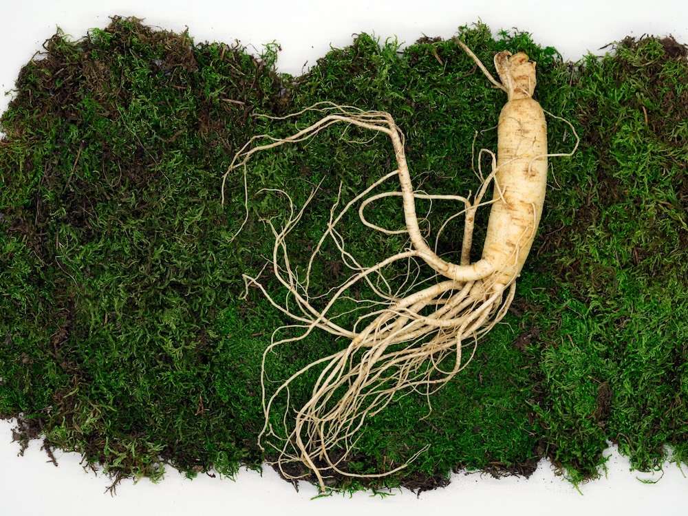 Ginseng jhoud2weijs unsplash